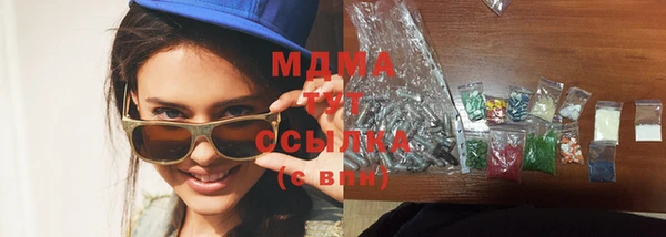 стаф Алзамай