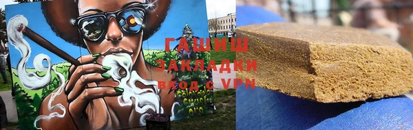 стаф Алзамай