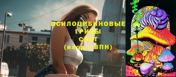 гидропоника Абаза