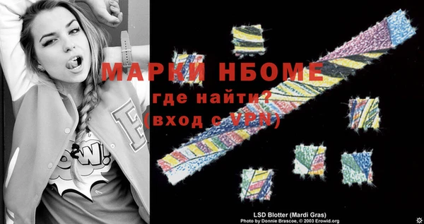 стаф Алзамай