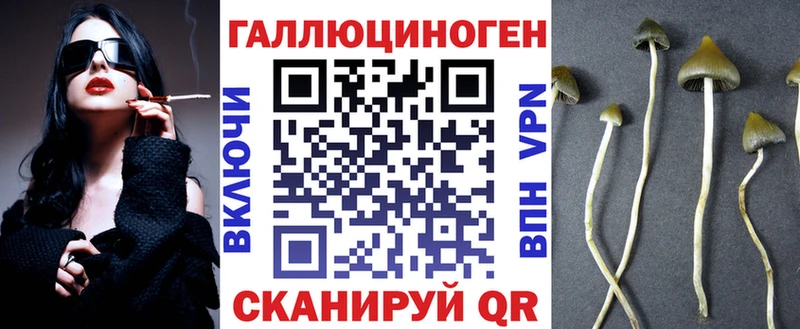 Галлюциногенные грибы Cubensis  что такое   Сим 